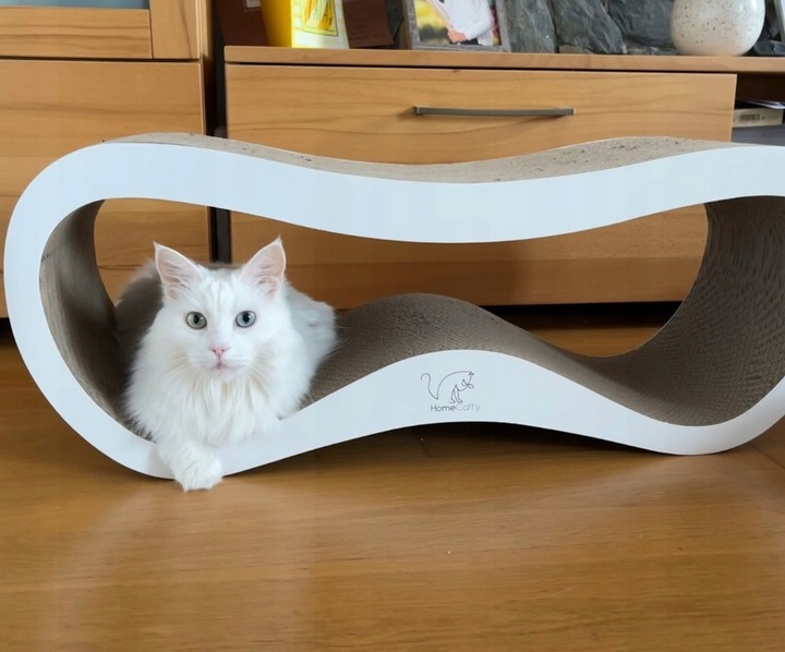 DRAPAK DLA KOTA KARTONOWY DUŻY LEGOWISKO 75x26x25 cm HomeCatty