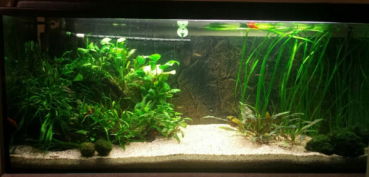 NATURALNY ŻWIREK 1-4 mm 25 kg AKWARIUM