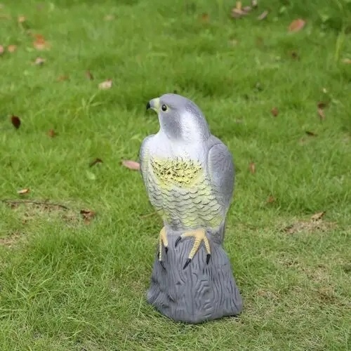 Jastrząb odstraszacz ptaków gołębi szpaków sokół