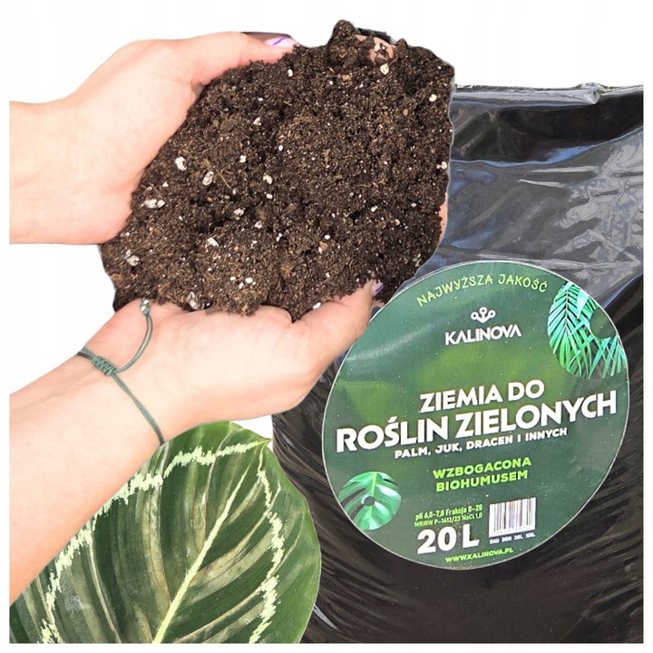 Podłoże Rośliny Zielone do Palm Juk Dracen Monstery Zamiokulkasa