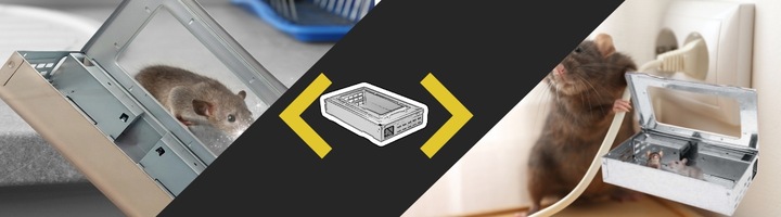 ŻYWOŁAPKA NA MYSZY Pułapka Łapka Na Szczury Pułapki Łapki HUMANITARNA