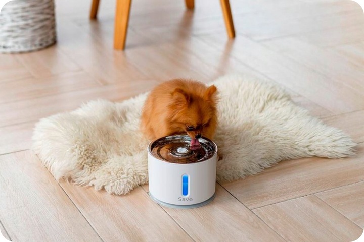 FONTANNA POIDEŁKO DLA KOTA PSA MISKA AUTOMATYCZNE POIDŁO + FILTR CICHA