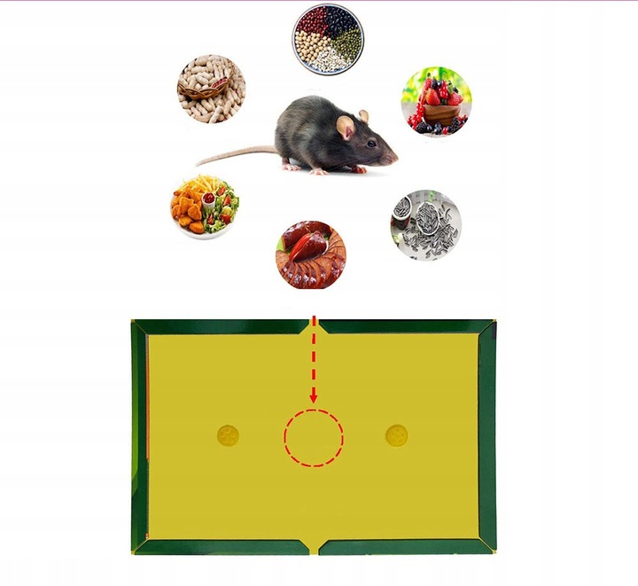 ŁAPKA NA MYSZY PUŁAPKA LEP NA MYSZY MYSZOŁAPKA ŁAPKA NA SZCZURY