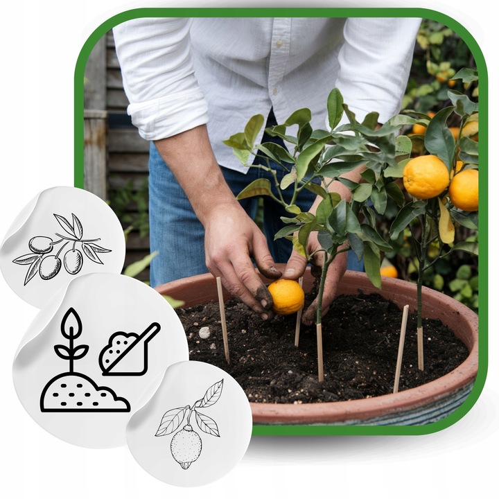 BIO Podłoże do Cytrusów 20l EKO Ziemia Oliwki Mango Awokado