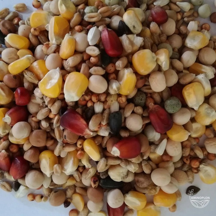 Karma dla gołębi BEST NATURAL S mieszanka sezonowa 20kg