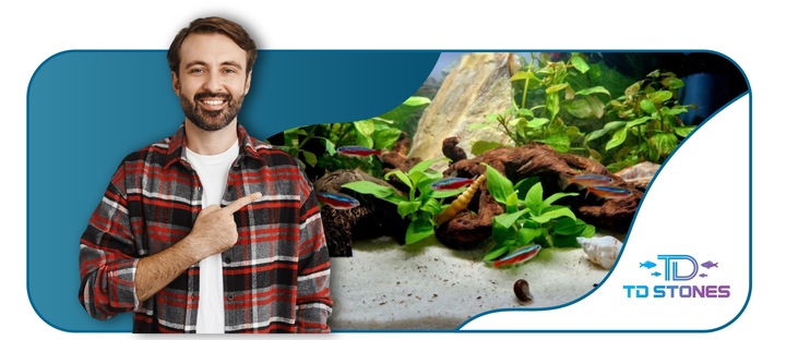 NATURALNY KORZEŃ DO AKWARIUM DESERT ROZMIAR M 20CM