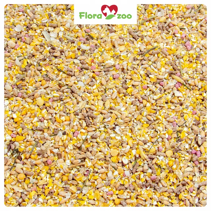 NATURALNA KARMA PASZA ZIARNO Z PIETRUSZKA KOLENDRA DLA DROBIU KUR NIOSKA