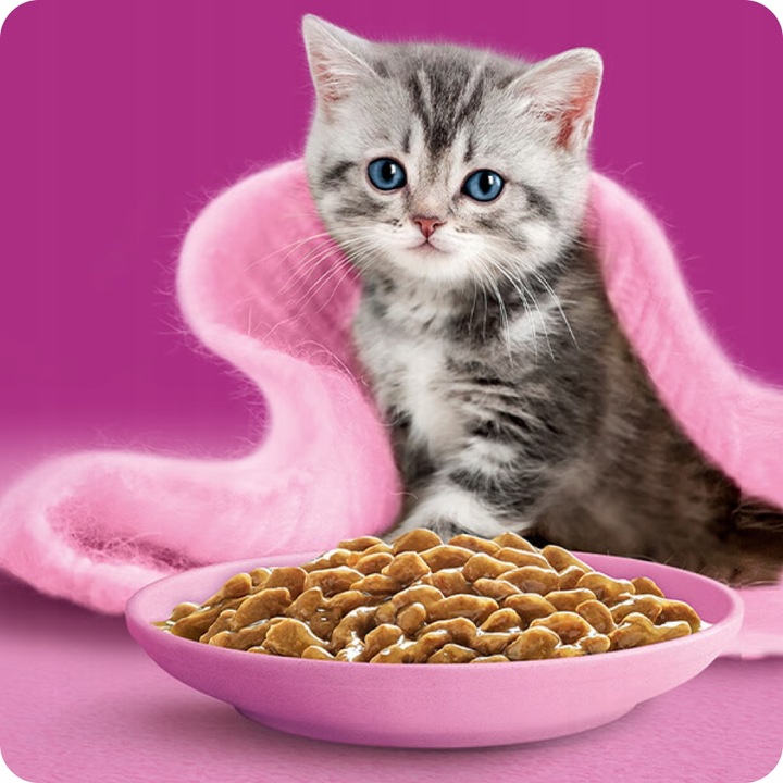 MOKRA KARMA WHISKAS JUNIOR DROBIOWA UCZTA 40x85G MIX SMAKÓW W GALARETCE