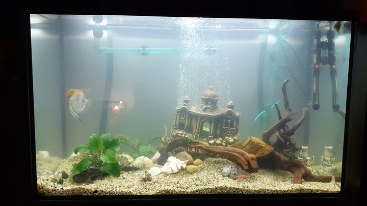 NATURALNY ŻWIREK 1-4 mm 25 kg AKWARIUM