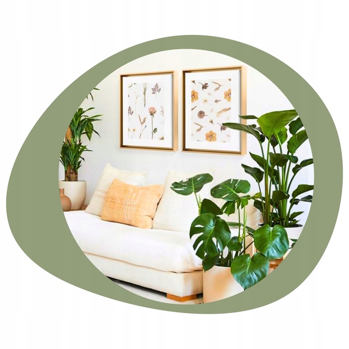 Podłoże BIGOS Lekka Ziemia do kwiatów roślin zielonych 5L Mieszanka