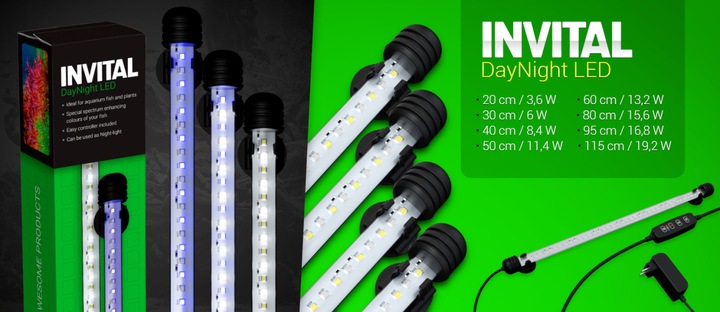 INVITAL DayNight LED 6W 29cm