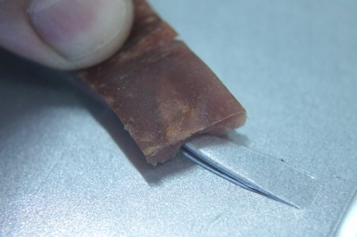 żywołapka pułapka lisy kuny wydry bobry koty skuteczna