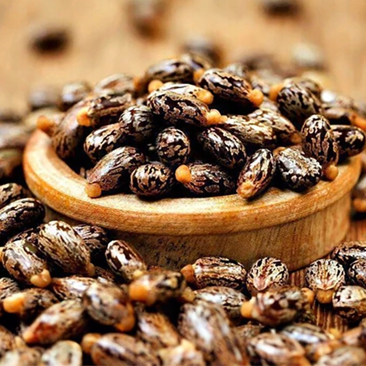 Olej ze słodkich migdałów 500ml i Olej rycynowy 500ml zestaw z pompkami