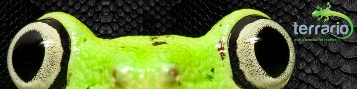 UNIWERSALNA LAMPA DO TERRARIUM DO ŻARÓWKI GRZEWCZE