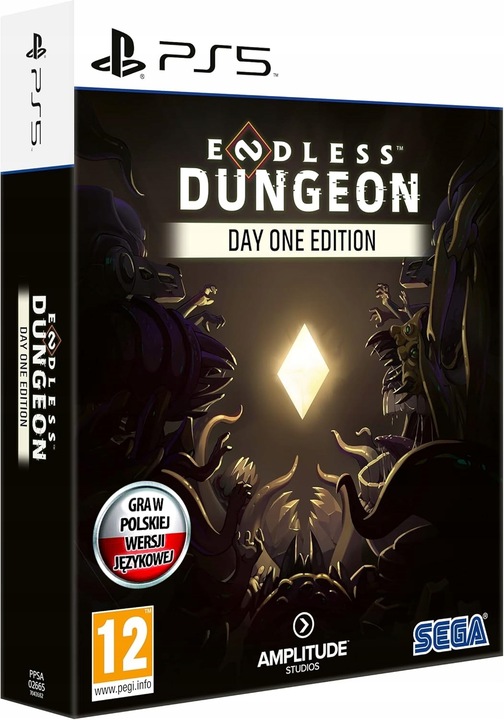 ENDLESS DUNGEON DAY ONE EDITION - PL - PS5 - Płyta Blu-ray