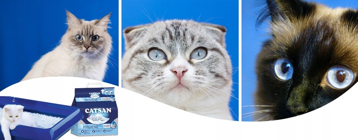 Żwirek dla Kota CATSAN Hygiene Plus Super Chłonny Bezzapachowy Wydajny 9L