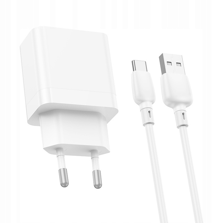 Ładowarka sieciowa (2xUSB - 2,1A, z kablem USB na Typ C) BOROFONE