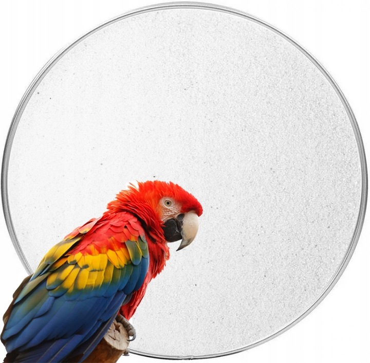 Biały Piasek Dla Papug Kanarków Od Producenta Pył Kąpielowy 15 KG Naturalny