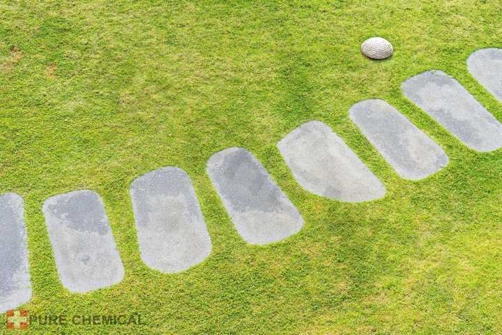 SIARCZAN ŻELAZA NAWÓZ DO TRAWY 25kg