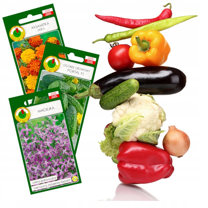 DONICZKA WIELODONICZKA DO SIEWU ROZSAD 60 szt TACA