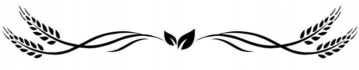 KASZA GRYCZANA PALONA PRAŻONA 5kg 5000g Polska BAFRA