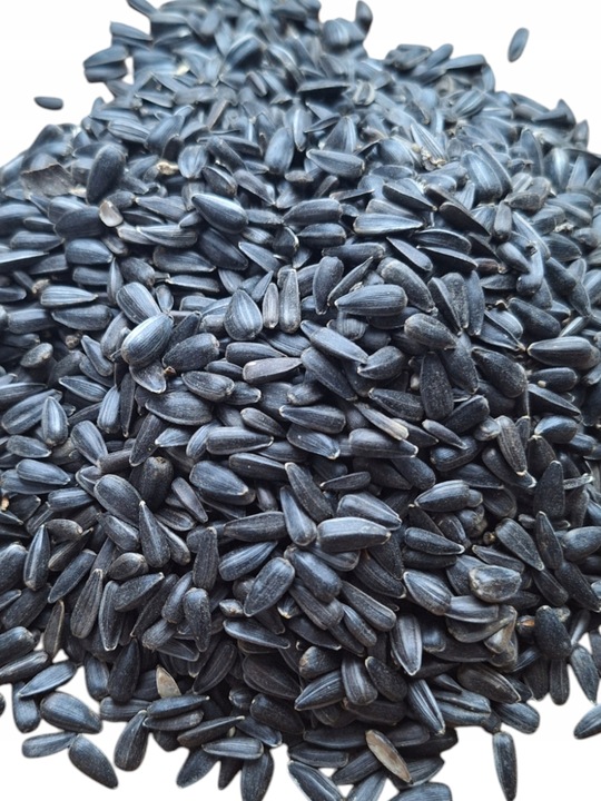 Słonecznik czarny 14 kg pokarm dla papug karma dla ptaków GRTIS kula tluszc