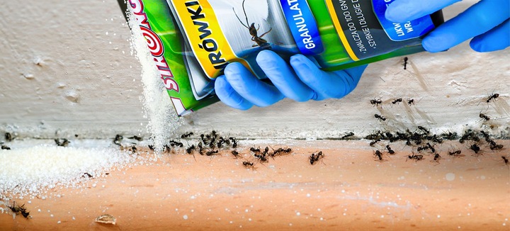 PREPARAT NA MRÓWKI, PROSZEK NA MRÓWKI DO DOMU I OGRODU, TRUTKA STRONG 1 KG