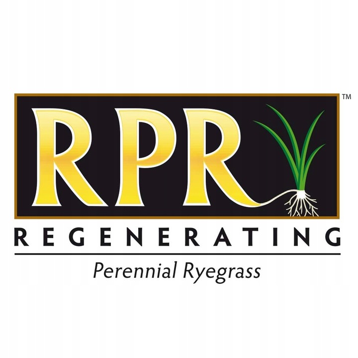 Trawa BARENBRUG RPR Lawn 1kg