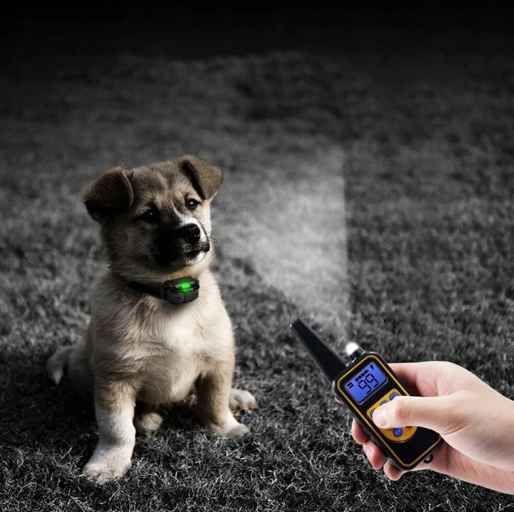 ELEKTRYCZNA OBROŻA DLA PSA 800M TRENINGOWA + PILOT