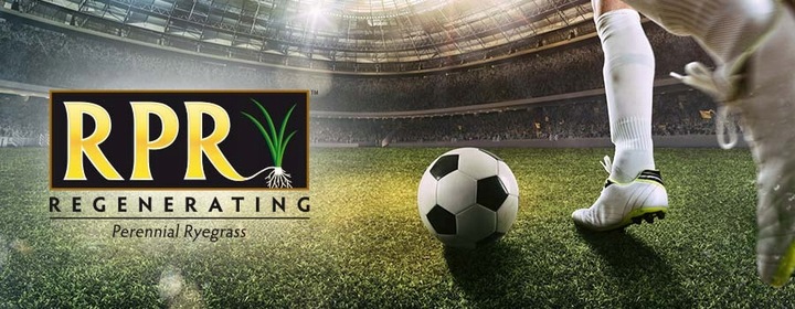 Trawa BARENBRUG RPR Lawn 1kg