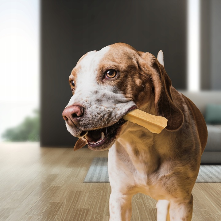 Ser himalajski M / 60-79g Gryzak zdrowy przysmak dla psa serek 13-14 cm