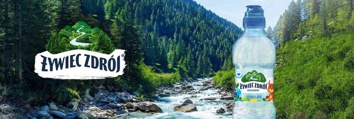 Żywiec Zdrój Zdrojek Niegazowany Woda źródlana ZESTAW 24 x 310 ml