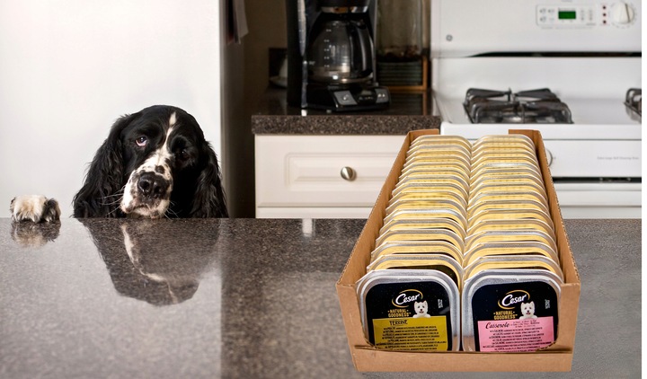 Karma Mokra dla Psa Cesar Natural Goodness mix smaków 34 szt x 100g