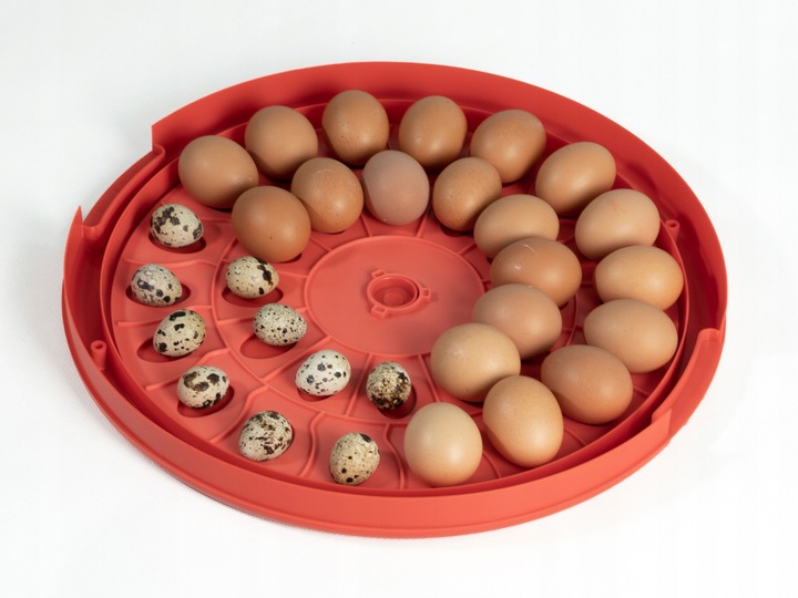 INKUBATOR klujnik wylęgarka do 30 JAJ drób kaczki