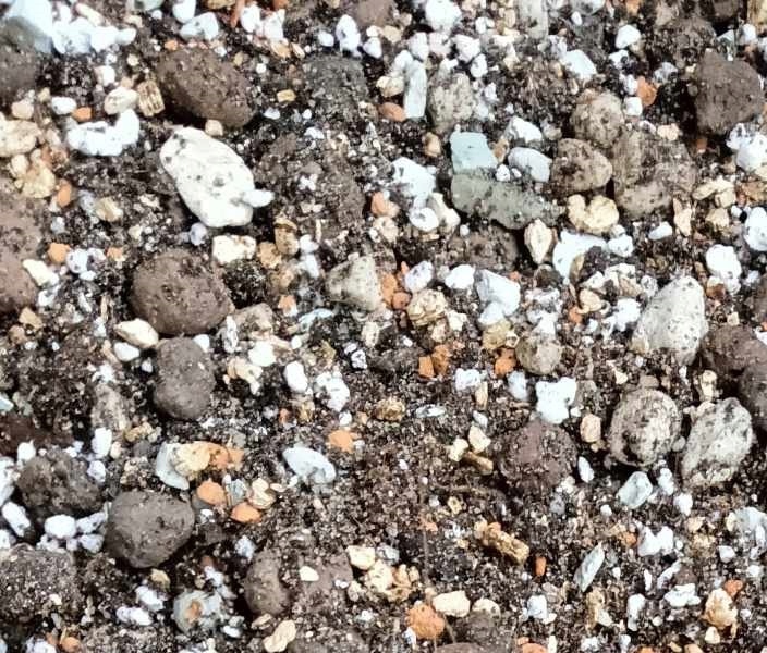 Botanic Soil Succulent 5l Podłoże do sukulentów,bigos ziemia