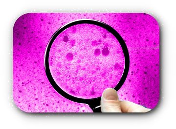 Materac OPK5 180x200 MASUJĄCY pocket 7 stref KOKOS pianka HR profil 26