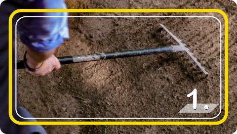 Trawa Nasiona Samozagęszczająca UNIWERSALNA odporna na deptanie 5kg 2024r.