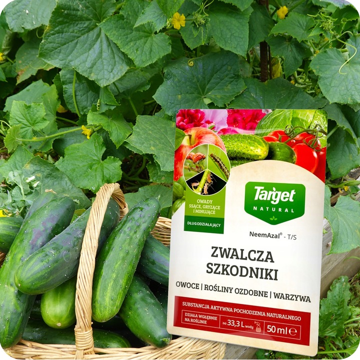 Płyn owadobójczy na ziemiórki mszyce przędziorki 50 ML Target NeemAzal