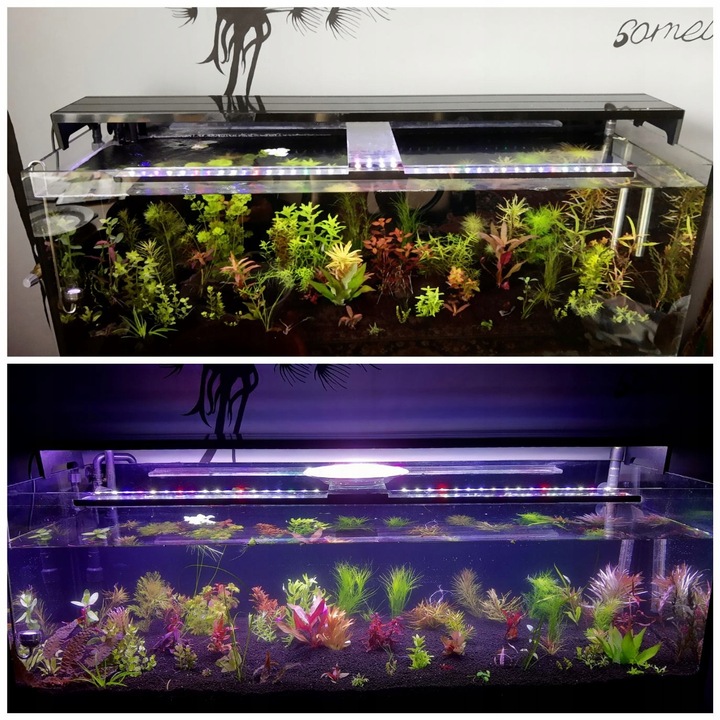 LAWA LAWA WULKANICZNA 2-8 mm 25 kg ŻWIREK AKWARIUM NA DNO