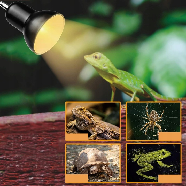 ŻÓŁW LAMPA GRZEWCZA LAMPA Z ŻARÓWKĄ UVA UVB I OBROTOWYM ZACISKIEM 360°