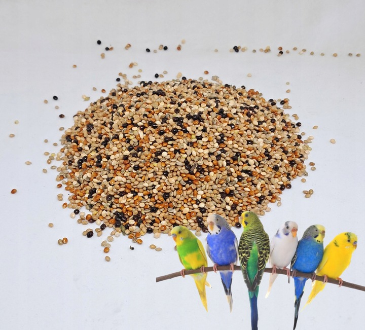 PetRa Proso ŚWIATA karma pokarm dla ptaków papug falistych egzotyka 10