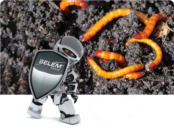 BELEM 1,2KG Środek OWADOBÓJCZY DOGLEBOWY ZWALCZA PĘDRAKI DRUTOWCE