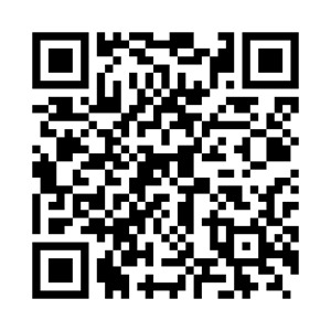 PRZENOŚNA TERMICZNA DRUKARKA A4 NETUM DO DOKUMENTÓW, ZDJĘĆ, ETYKIET, TATUAŻ