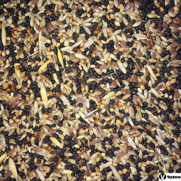 pokarm dla kanarków karma kanarek wiaderko 3 litr #210