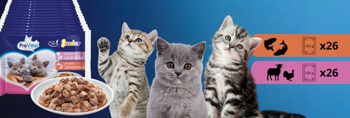 KARMA MOKRA DLA KOTA PREVITAL JUNIOR 52 X 100G SASZETKI DLA KOCIĄT MIX