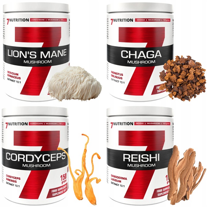 Lions mane soplówka jeżowata Chaga Cordyceps Reishi Grzyby mushroom proszek