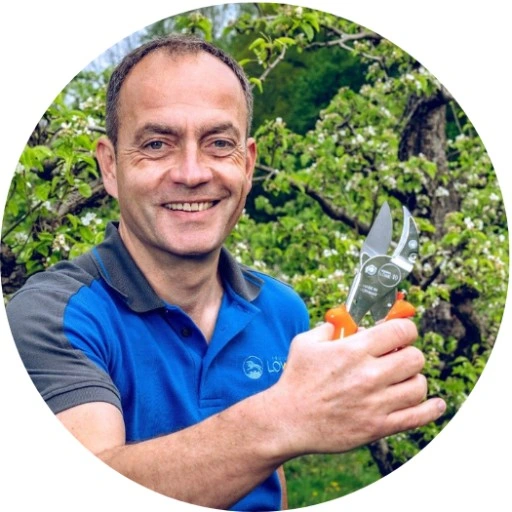 ZESTAW SEKATOR RĘCZNY do CIĘCIA GRUBYCH GAŁĘZI LOWE 10 .107 + OSTRZAŁKA