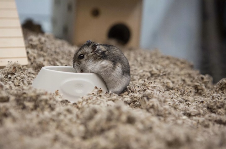 COMFY COTTON BEDDING PODŁOŻE BAWEŁNIANE 10L