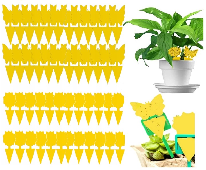 60x ŻÓŁTY LEP DO DONICZEK MOTYL na ziemiórki mszyce muszki owocówki