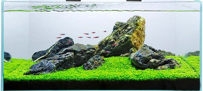 Świetlówka LED oświetlenie AKWARIUM 8520 50cm